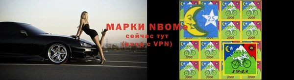 дмт Щигры
