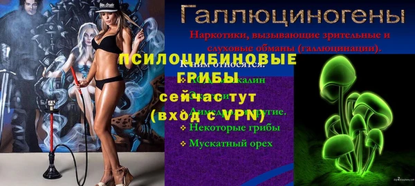 таблы Козловка