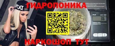 apvp Кимры