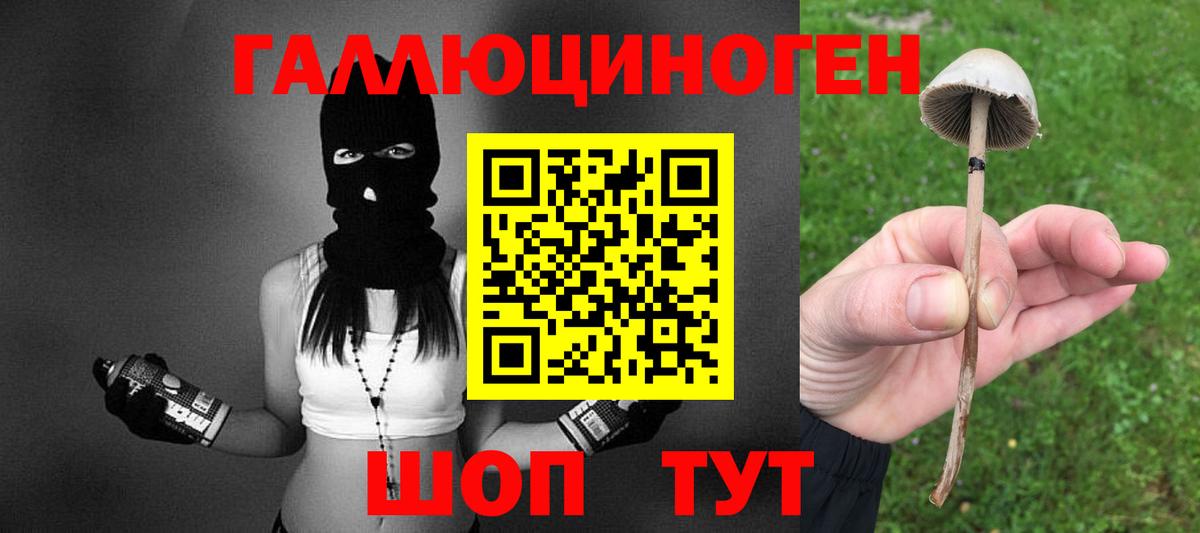 Псилоцибиновые грибы Psilocybine cubensis  Уфа 