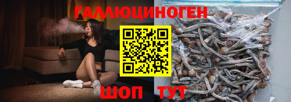 Уфа  Галлюциногенные грибы прущие грибы  Вход с VPN 